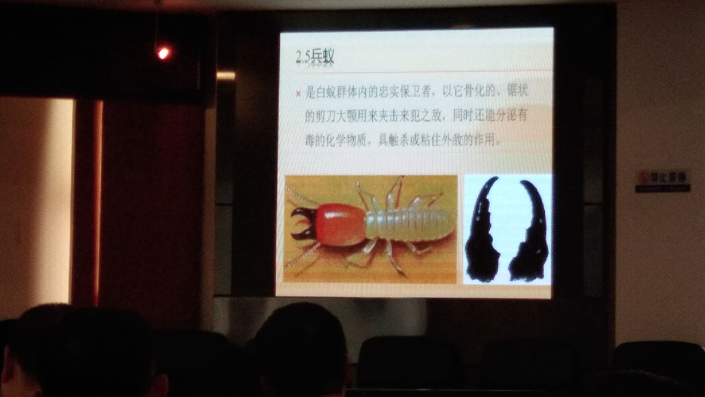 白蟻和紅火蟻防治技術培訓班1.jpg